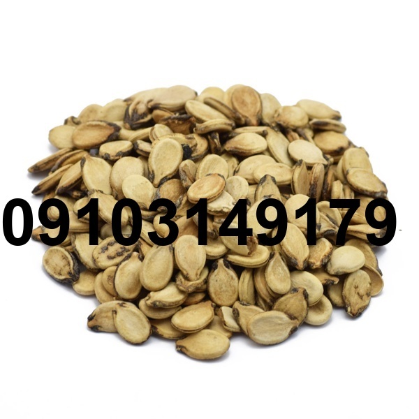 قیمت تخمه هندوانه خام_4