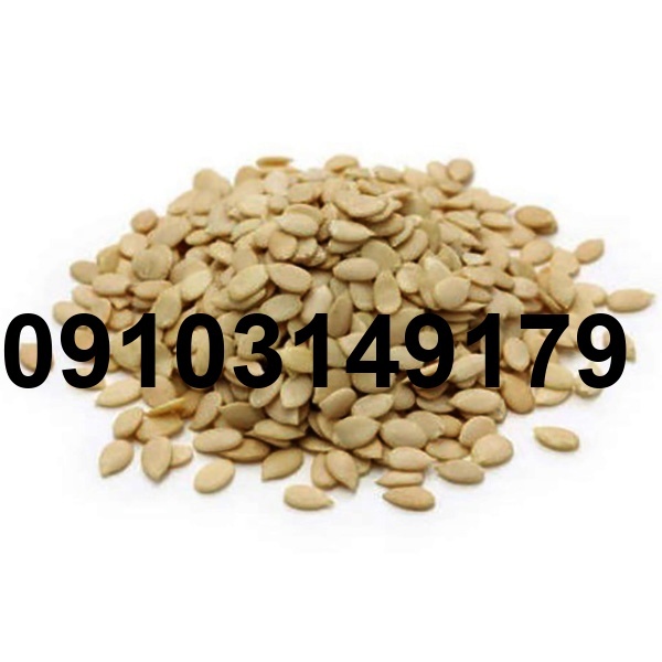 قیمت تخمه هندوانه خام_5
