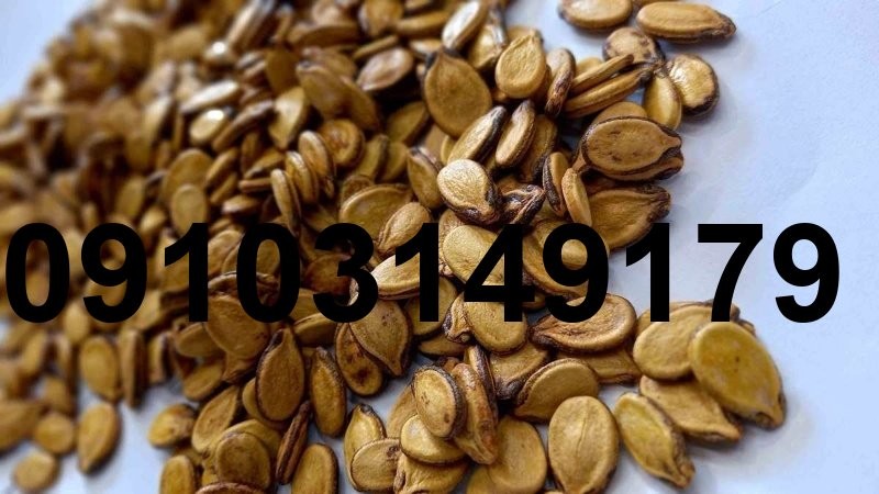 قیمت تخمه هندوانه در اصفهان_2