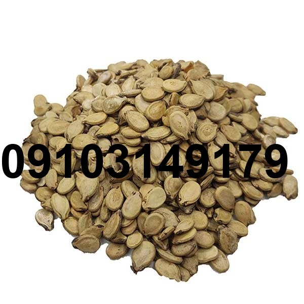 قیمت تخمه هندوانه سفید_1