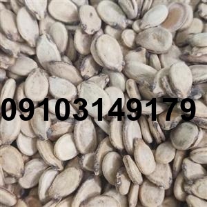قیمت تخمه هندوانه سفید_2