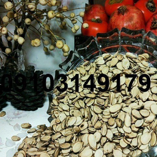قیمت تخمه هندوانه سفید_4