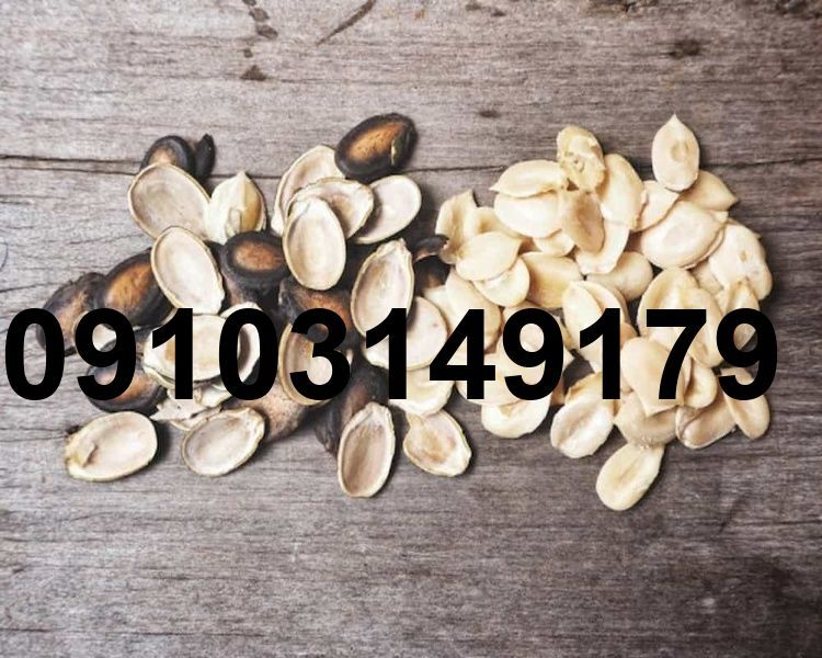قیمت تخمه هندوانه سفید_7