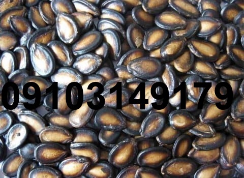قیمت تخمه هندوانه سیاه_4