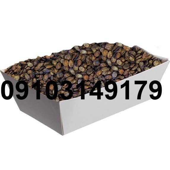 قیمت تخمه هندوانه سیاه_5