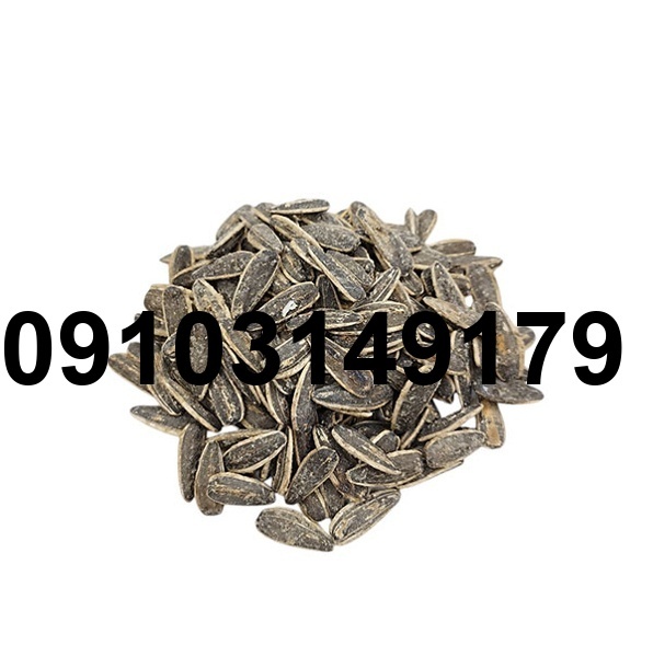 قیمت تخمه هندوانه سیاه_8