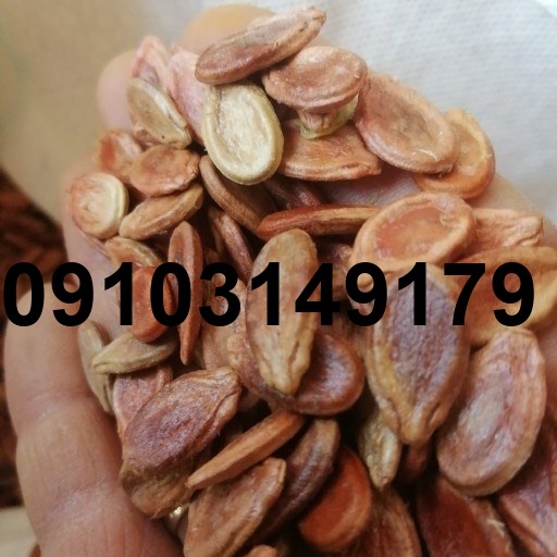 قیمت تخمه هندوانه قرمز_4