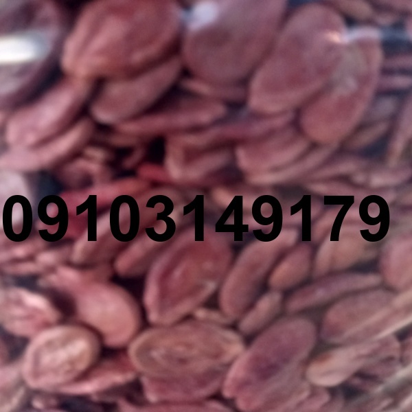 قیمت تخمه هندوانه قرمز_5