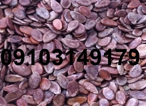 قیمت تخمه هندوانه قرمز_6