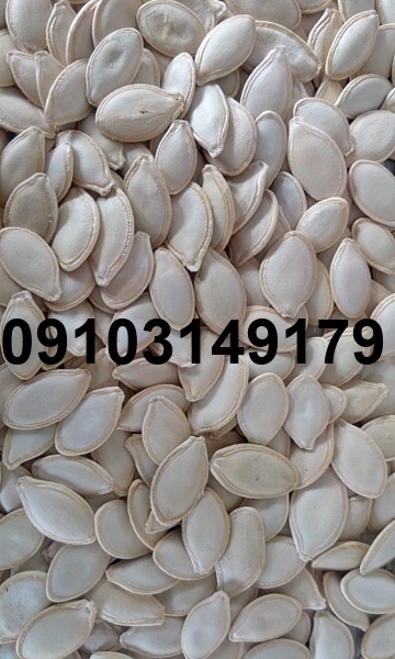 قیمت تخمه کدو خام_1