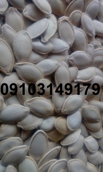 قیمت تخمه کدو خام_7