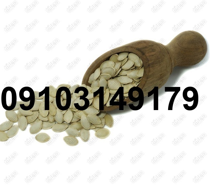 قیمت تخمه کدو در بازار تهران [بروزرسانی امروز]_6