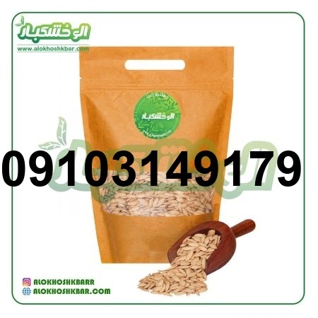 قیمت تخمه کدو در بازار تهران [بروزرسانی امروز]_7