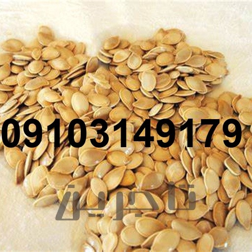 قیمت تخمه کدو درجه یک + جدول قیمت روز | خرید عمده و بسته‌ای_8