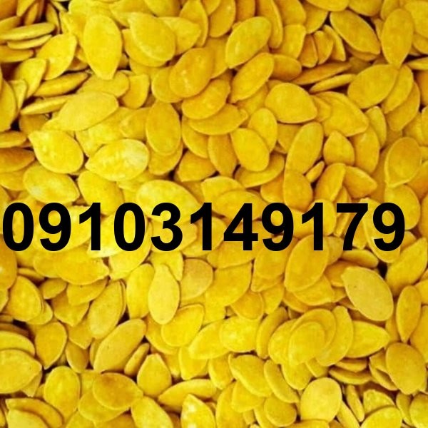 قیمت تخمه کدو زرد_4