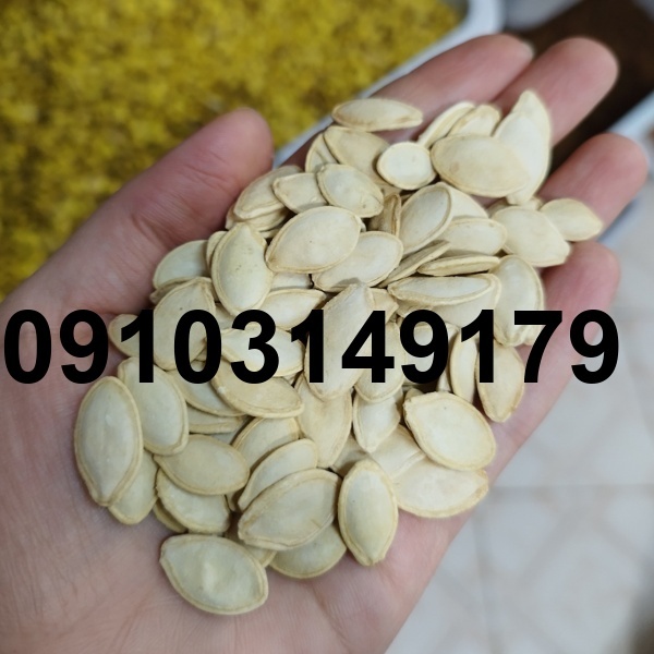 قیمت تخمه کدو سفید_1