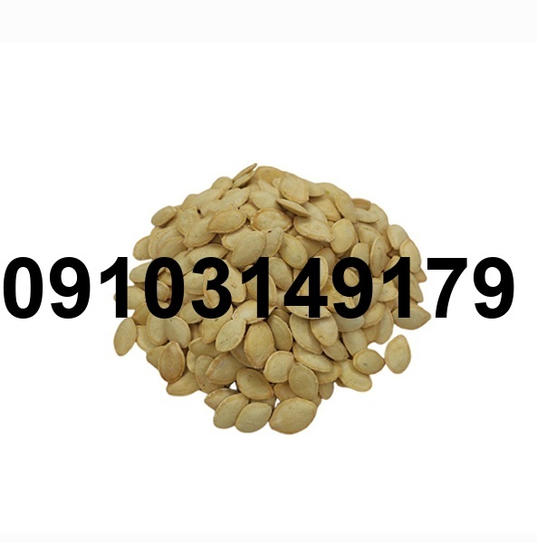قیمت تخمه کدو سفید_7