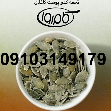 قیمت تخمه کدو پوست کاغذی_1