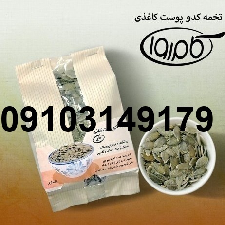 قیمت تخمه کدو پوست کاغذی_2