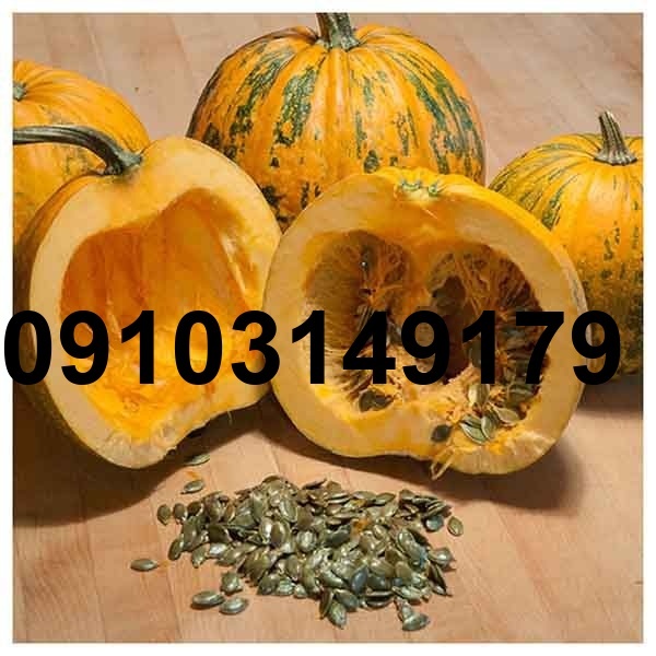 قیمت تخمه کدو پوست کاغذی_3
