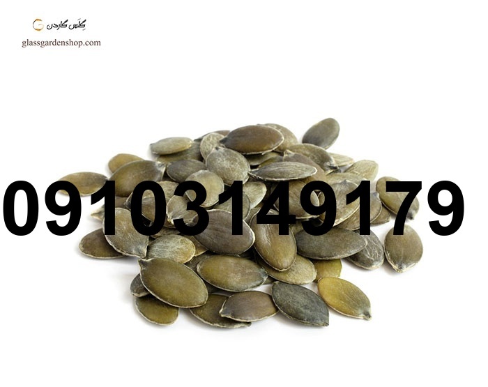 قیمت تخمه کدو پوست کاغذی_5