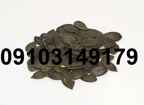 قیمت تخمه کدو پوست کاغذی_7