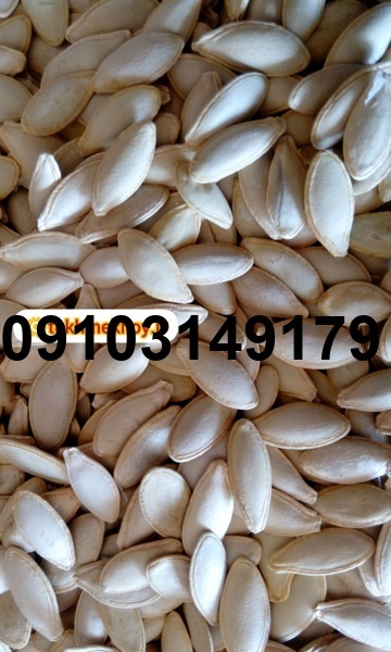 قیمت تخمه کدو چنده_3