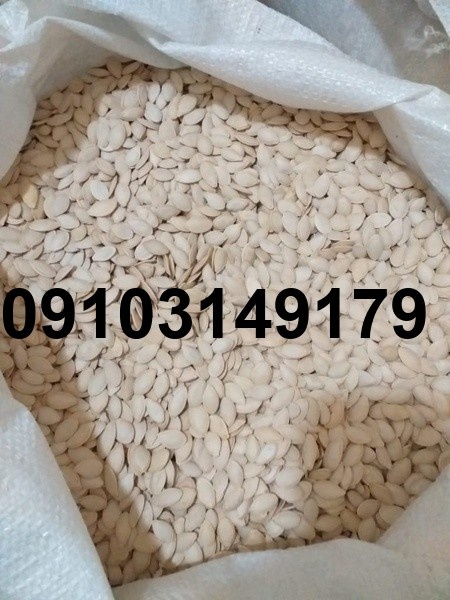 قیمت تخمه کدو چنده_7