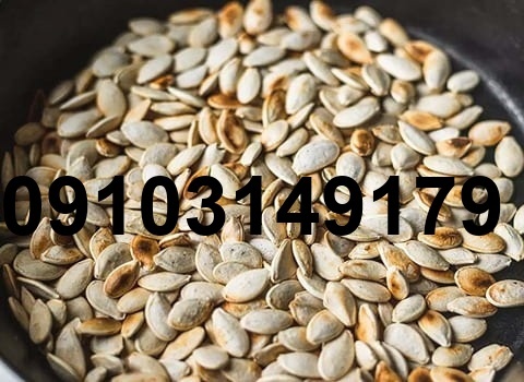 قیمت تخمه کدو چینی_5