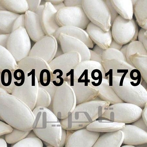 قیمت تخمه کدو چینی_6