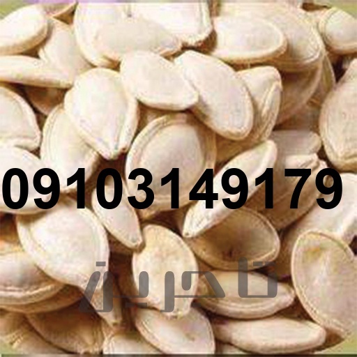قیمت تخمه کدو چینی_7
