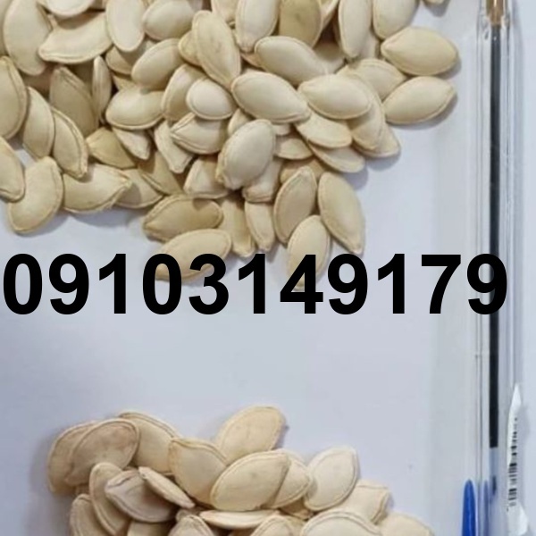قیمت تخمه کدو چینی_8