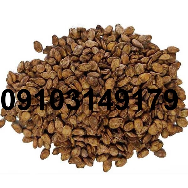 قیمت روز تخمه هندوانه_4