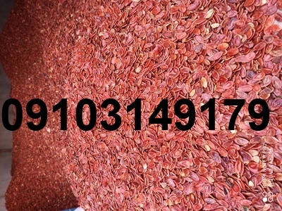 قیمت روز تخمه هندوانه_5