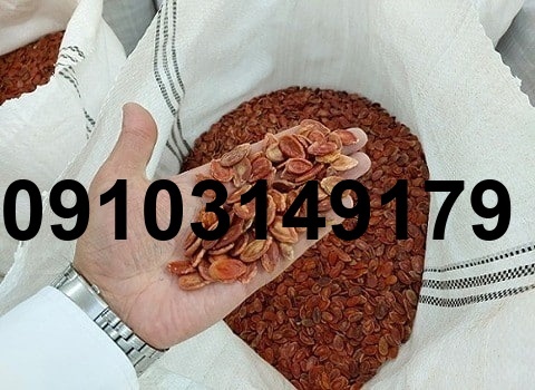 قیمت روز تخمه هندوانه_7