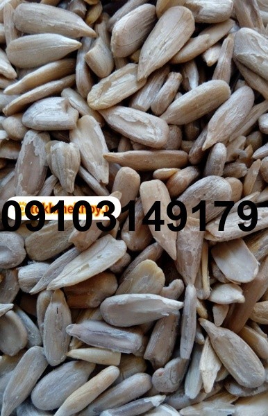 قیمت عمده تخمه آفتابگردان درجه یک_4