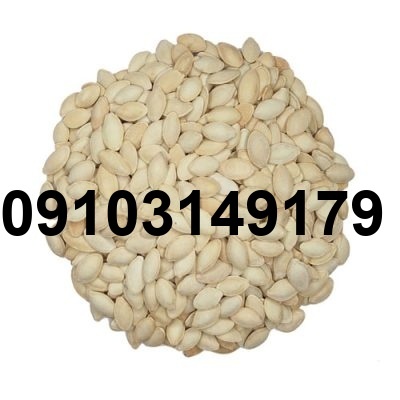 قیمت عمده تخمه کدو گوشتی_9