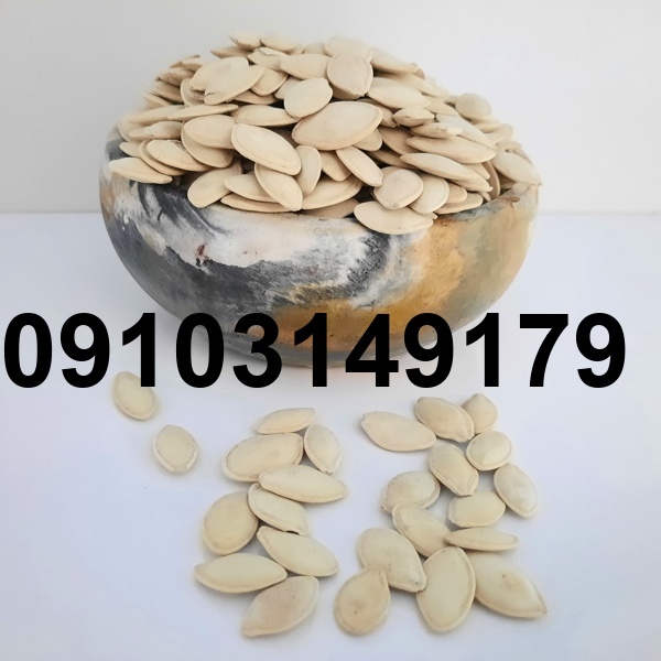 قیمت عمده تخمه کدو گوشتی_8