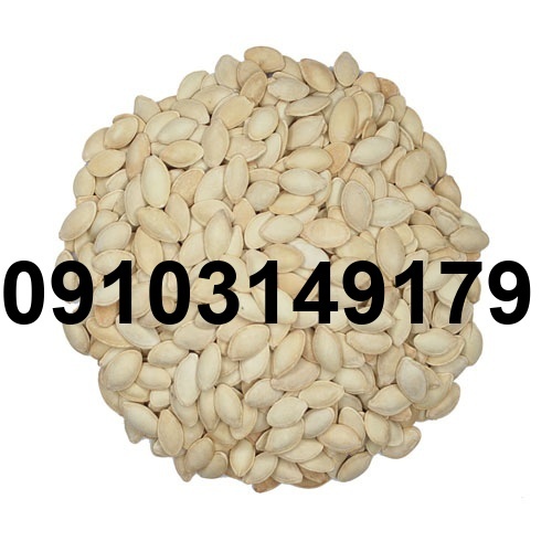 قیمت هر کیلو تخمه کدو_6