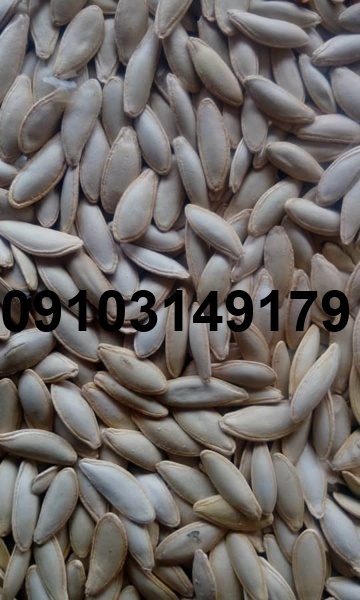 قیمت هر کیلو تخمه کدو_7