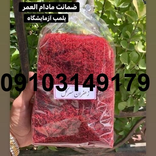 خرید زعفران قائنات از کشاورز_3