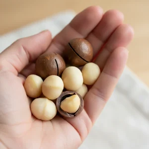 خرید عمده فندق ماکادمیا